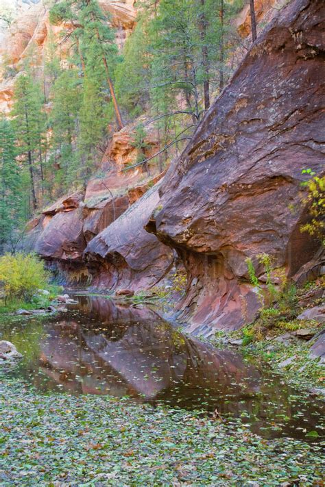 Az Arizona Oak Creek Canyon Coconino National Forest West Fork Of Oak Creek In Fall Stock