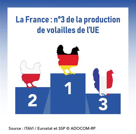 Le March De La Volaille Les Chiffres Conna Tre Volaille Info