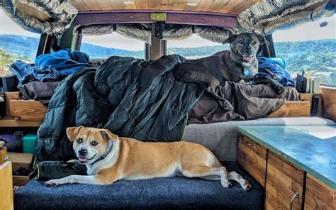 Vanlife With Dogs Tips Challenges And Fun On The Road