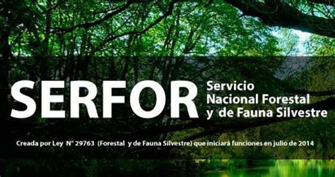 El Servicio Nacional Forestal Y De Fauna Silvestre SERFOR Busca