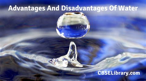 Advantages And Disadvantages Of Water Properties Types Health Benefits And Risks Of Water