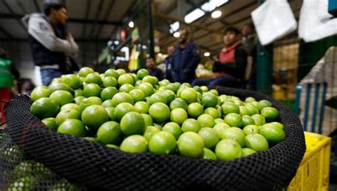 Precio del limón supera los S 15 por kilo Cuáles son las razones