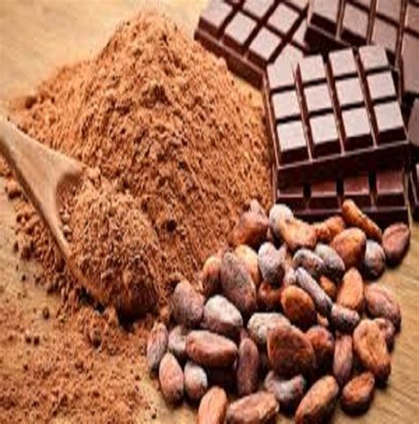 Africa Dried Raw Cocoa Beans Oem Automation Grade Manual At Rs 500