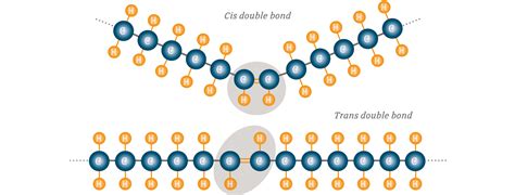 Cis & Trans Fatty Acids | Advice | Megalac