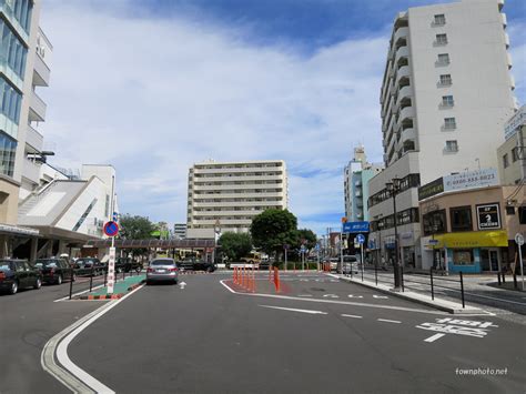 茅ケ崎駅南口と桜道 神奈川県茅ヶ崎の紹介 撮影写真134枚