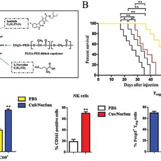 Enhanced Anti Tumor Efficacy Via Mdsc Reduction A Schematic