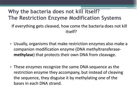 Ppt Restriction Enzyme Digestion Powerpoint Presentation Free