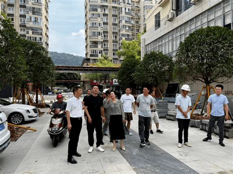 乐清市住建局开展老旧小区改造监管不到位问题专项治理工作暨2023年度第二次城镇老旧小区建设项目专项督查