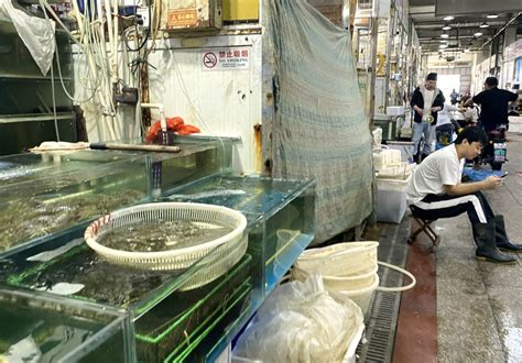 Speaking Out Japanese Seafood Embargo By China A Strategic Response