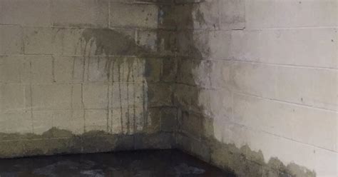 8 Steps To Finish A Damp Basement And Why Waterproofing Comes First