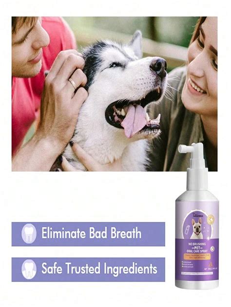 Spray De Nettoyage Des Dents Pour Chiens Et Chats Nettoyage Bucco