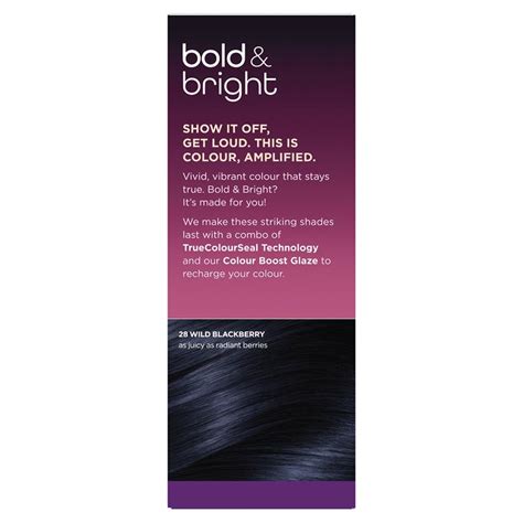 Buy Clairol Bold Bright Permanent Hair Colour 28 Wild Blackberry