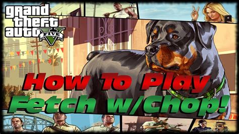 Gta How To Walk Play Fetch With Chop For Completion Gta V