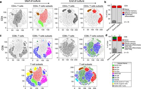 Immunophenotypic Characterization Of Car T Cells And Their