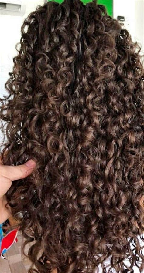 Pin De Elizabeth Baita Esquivel Em Curly Hair Escurecer O Cabelo