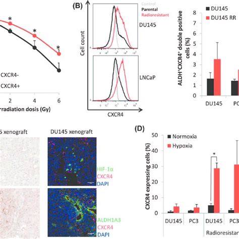 Cxcr4 Targeting Therapy A Molecular And Cellular Eff Ects Of Cxcr4