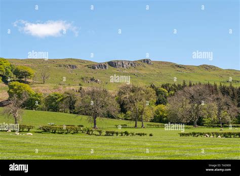 Could Rocks Hillside Behind The Town Of Largs Scotland Looking Over