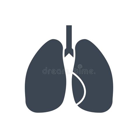 Lungs Vector Glyph Icons Stock Vector Illustration Of Isolated