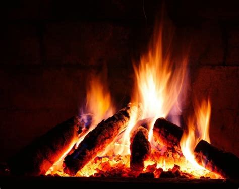 Que Leña O Madera Utilizar Para Hacer Asado Todo Sobre El Asado