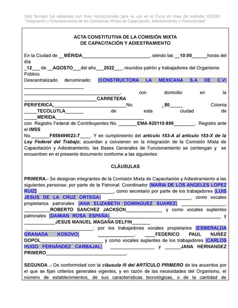 Acta Constitutiva Integraci N Y Funcionamiento De Las Comisiones