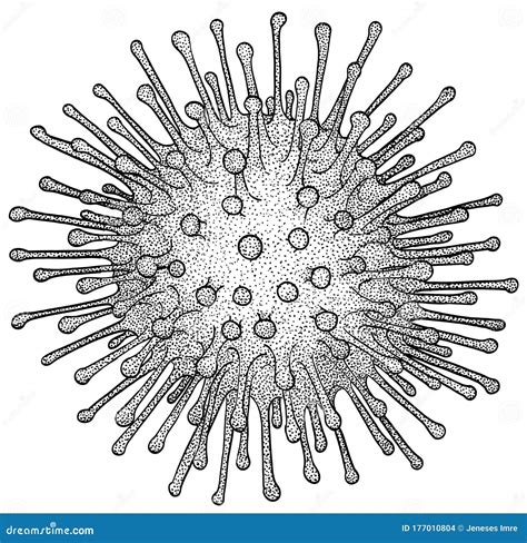 Influenza Virus Illustration Drawing Engraving Ink Line Art Vector