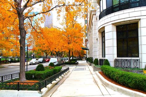 Chicago Autumn