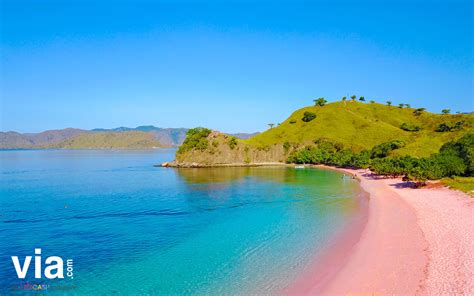 Pantai Pink Via Indonesia Official Blog