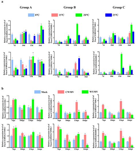 IJMS Free Full Text Genome Wide Identification And Characterization