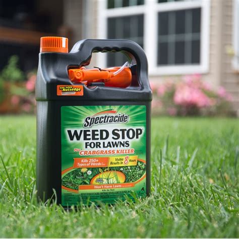 Spectracide Weed Stop For Lawns 1 Gallon Trigger Spray Weed And Grass Killer In The Weed Killers