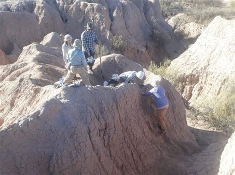 Un Hallazgo Arqueol Gico En Mendoza Arroja Luz Sobre Una Cultura