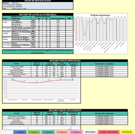 Test Wisc V Con Informe Gr Fico Y Textual Correcci N Con Software