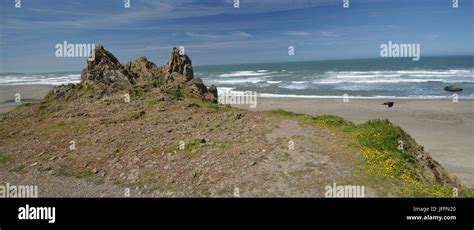 View Of The Pacific Coast At Goat Rock Beach On Highway 1 Between