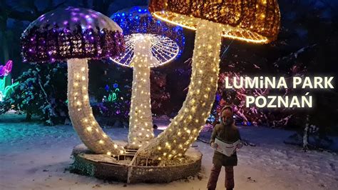 Lumina Park Pozna Magiczny Las Youtube