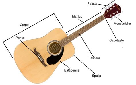 Immunit Falco Borraccia Chitarra Acustica E Elettrica Differenze