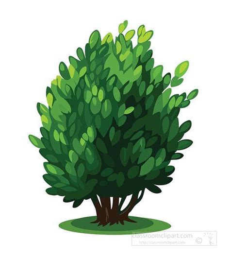 Shrub Clipart