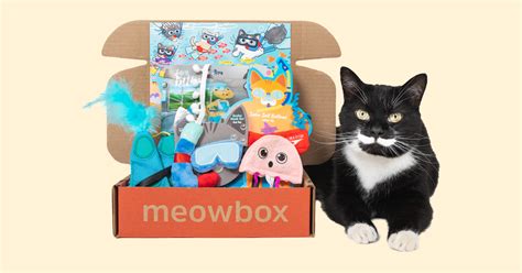 meowbox net worth