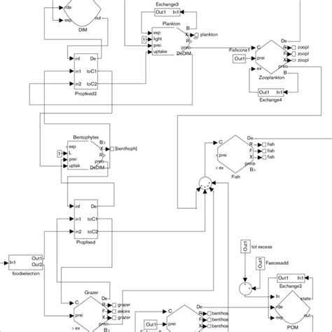 Structure of the CNP-model. | Download Scientific Diagram