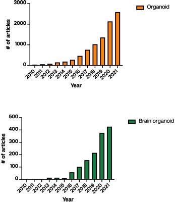 Frontiers Prenatal Drugs And Their Effects On The Developing Brain