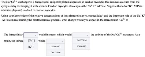 Solved The intracellular would increase, which would | Chegg.com 