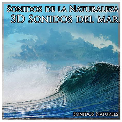 Sonidos De La Naturaleza D Sonidos Del Mar De Sonidos Naturales