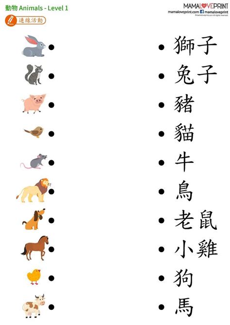 Mamaloveprint 動物主題工作紙 Animals Worksheet幼稚園工作紙 Kindergarten Worksheet