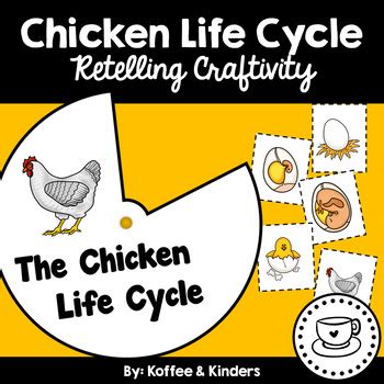 Chicken Life Cycle Craft by Koffee and Kinders | TPT