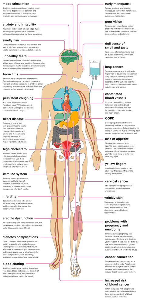 26 Health Effects of Smoking on Your Body