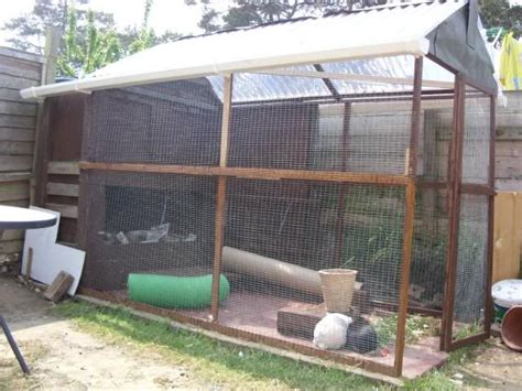 Aviary Roof Rabbits United Forum Aviary Rabbit Hutches Bunny House