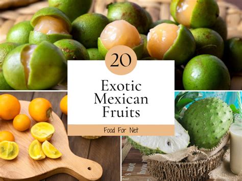 37 Exotic Candies That Stretch The Imagination Food For Net