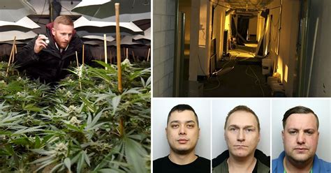 Three Men Grew Cannabis Factory In Abandoned Cold War Nuclear Bunker In