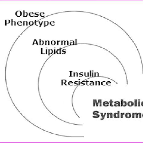 Components Of Metabolic Syndrome Download Scientific Diagram