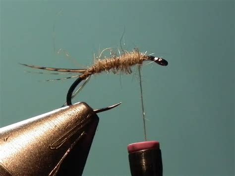 The African Fly Angler Deer Hair Emerger