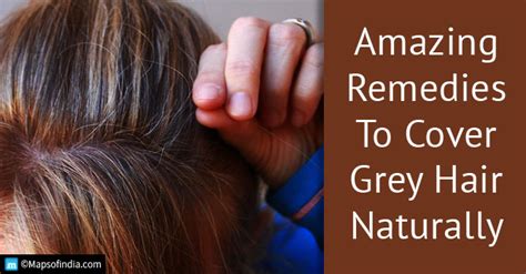 Amla For Grey Hair - Premature Grey Hair Treatment With Home Remedies For Grey Hair Nykaa S ...