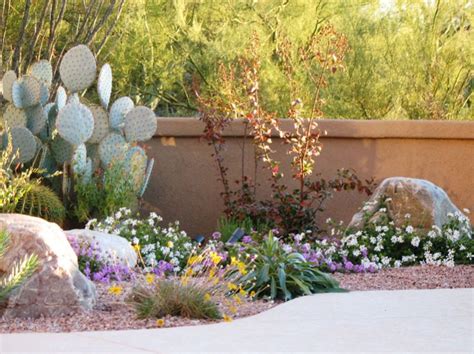 Native Plants for an Arizona Southwest Landscape - Watters Garden Center